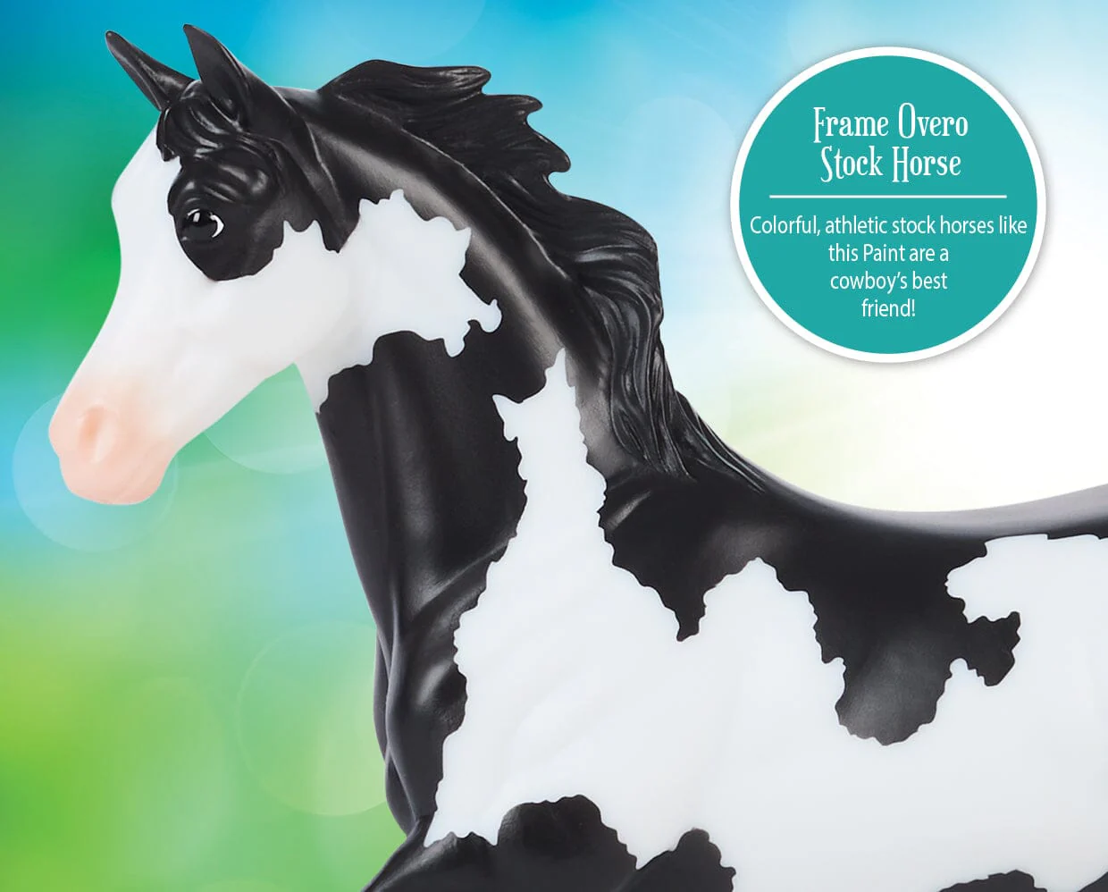 Black Frame Overo Stock Horse - Image 3