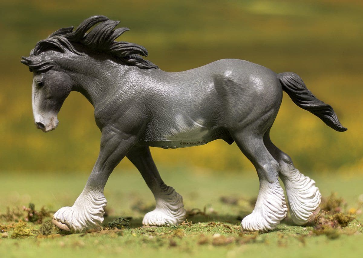 Clydesdale Stallion | Black Sabino Roan - Image 2
