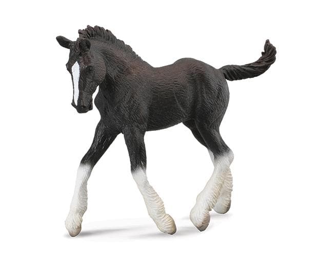 Shire Foal | Black