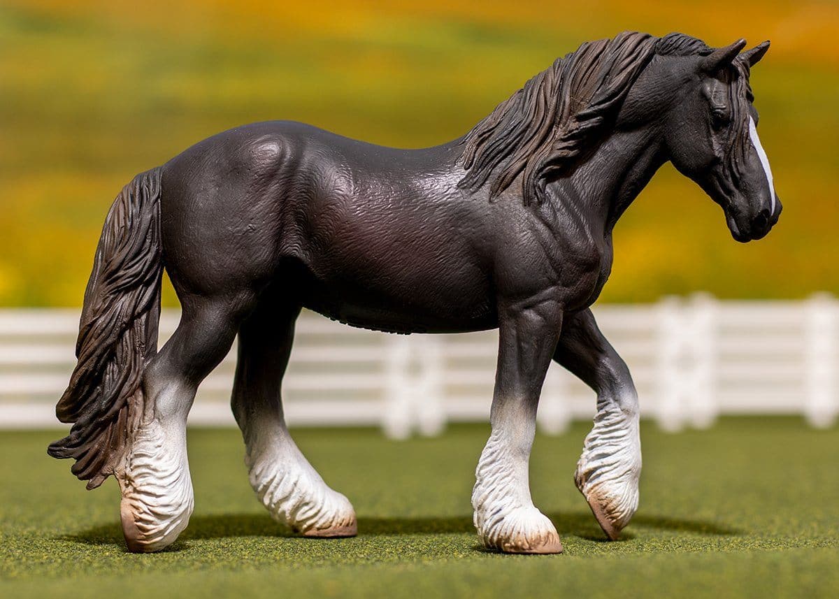 Shire Mare | Black