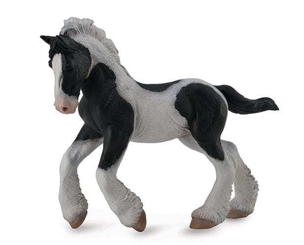 Gypsy Vanner Foal | Black & White Piebald