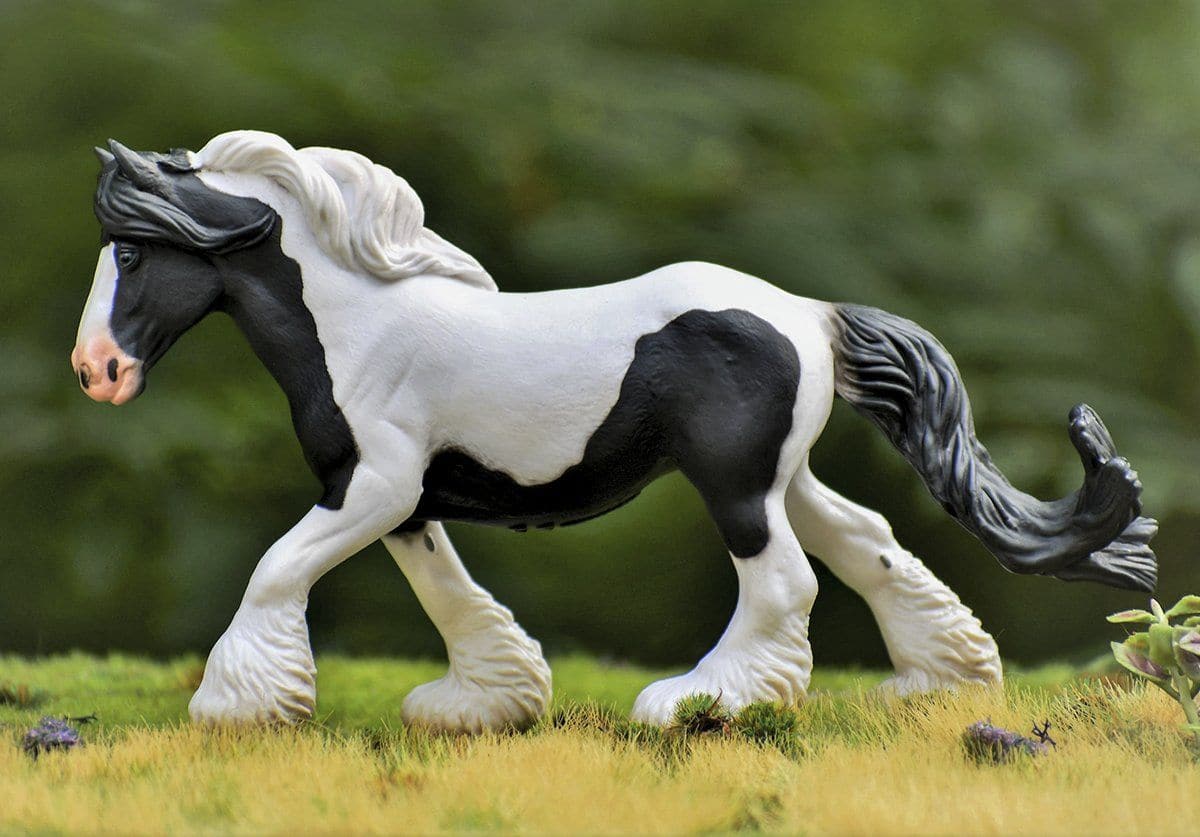 Gypsy Vanner Mare | Black & White Piebald