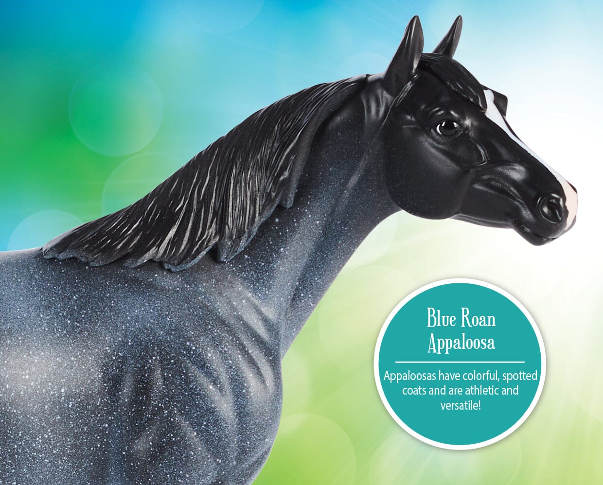 Blue Roan Appaloosa - Image 3