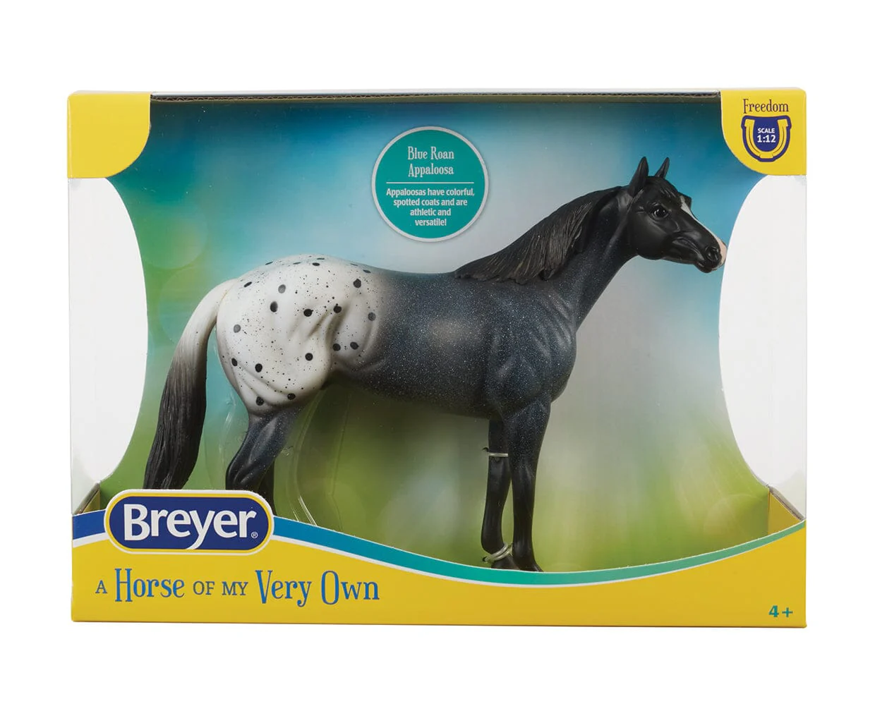 Blue Roan Appaloosa - Image 4