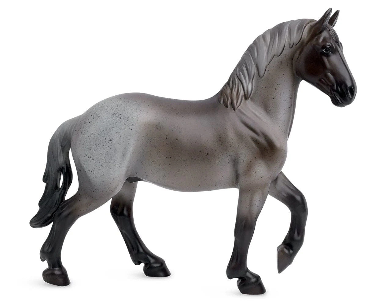 Blue Roan Brabant - Image 4