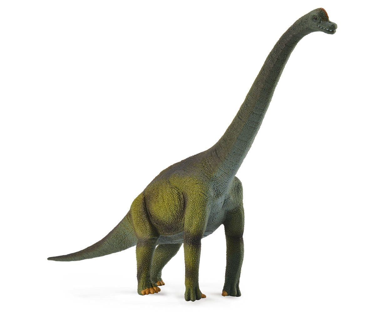 Brachiosaurus - Image 2