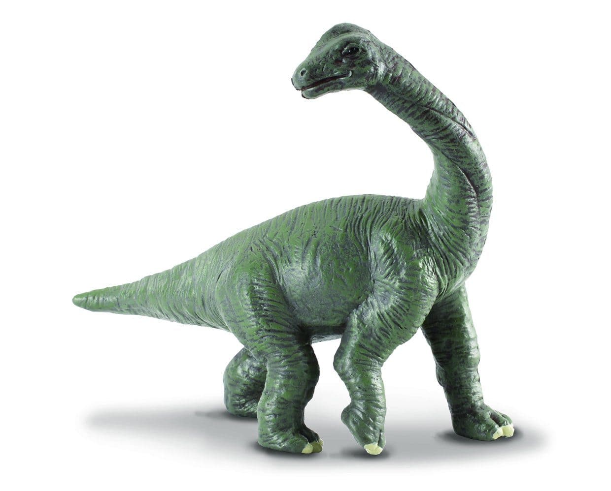 Brachiosaurus Baby - Image 2