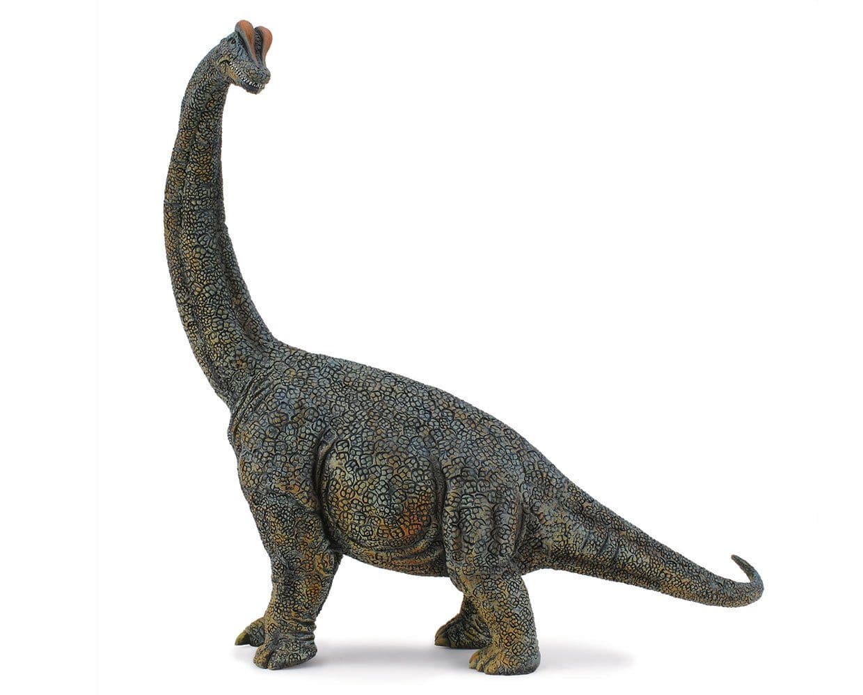 Brachiosaurus | Deluxe 1:40 Scale