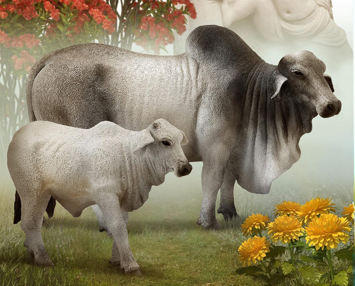 Brahman Bull