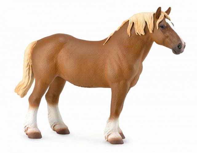 Belgian Mare | Chestnut