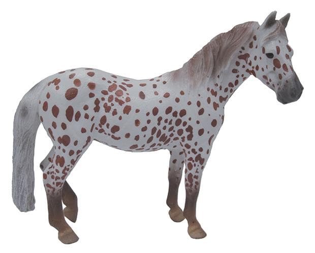 British Spotted Pony Mare | Chestnut Leopard - Image 2