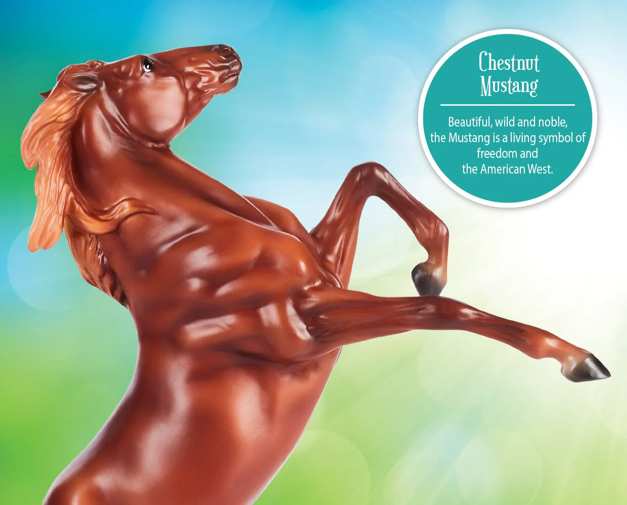 Chestnut Mustang - Image 3