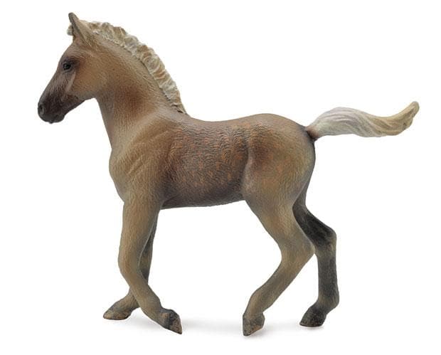 Rocky Mountain Horse Foal | Chocolate