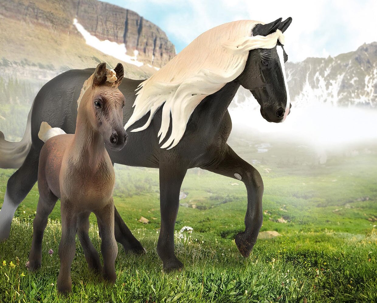 Rocky Mountain Horse Foal | Chocolate - Image 2