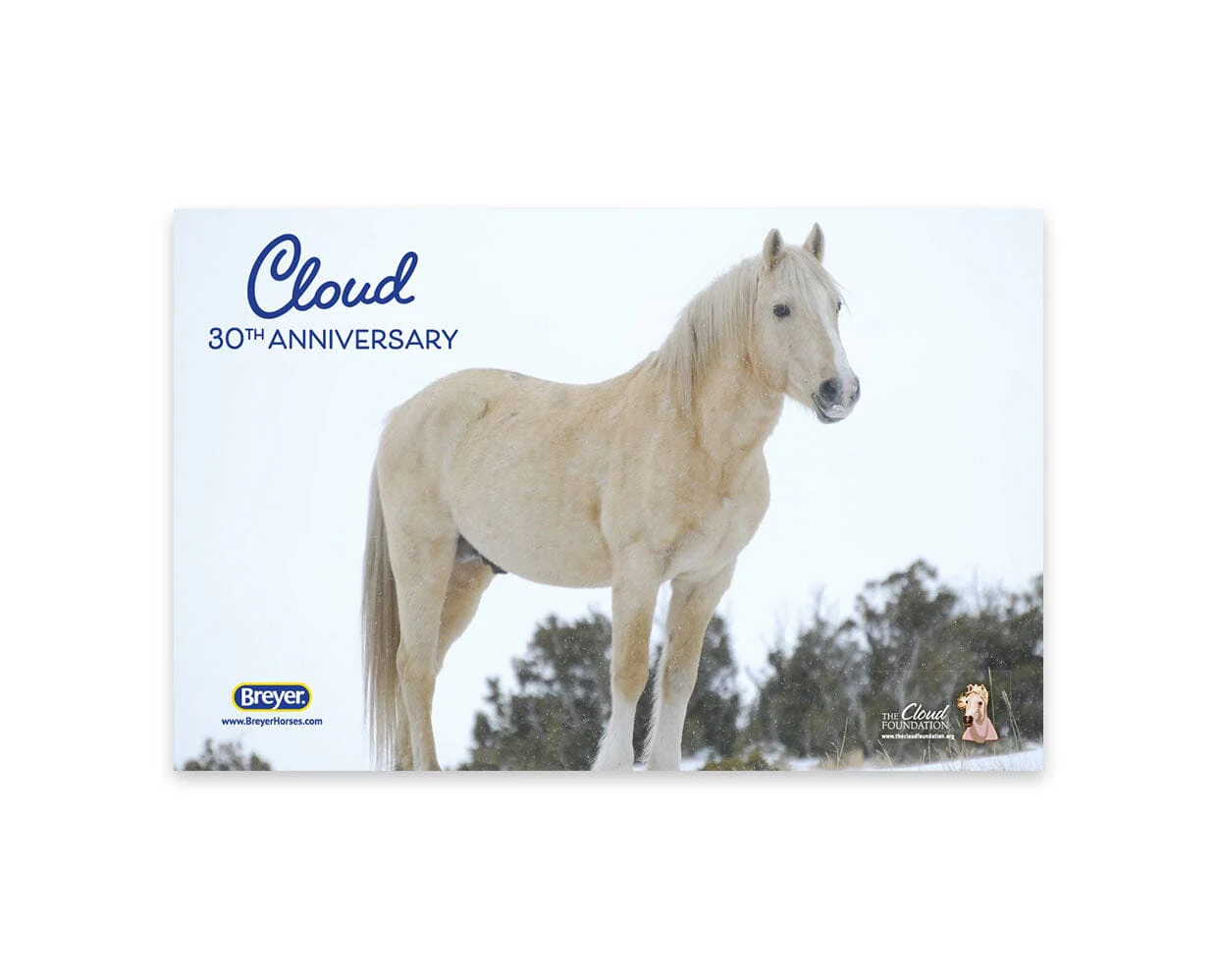 Cloud | 30th Anniversary Edition - Image 6