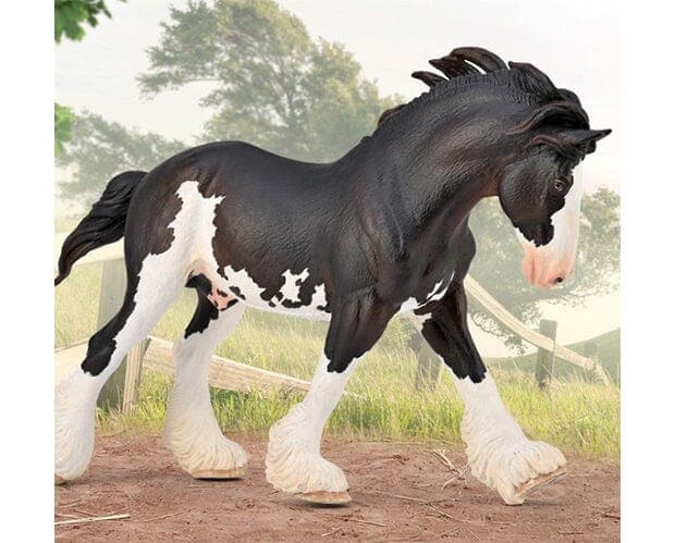 Clydesdale Stallion | Black Sabino