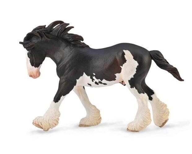 Clydesdale Stallion | Black Sabino - Image 2
