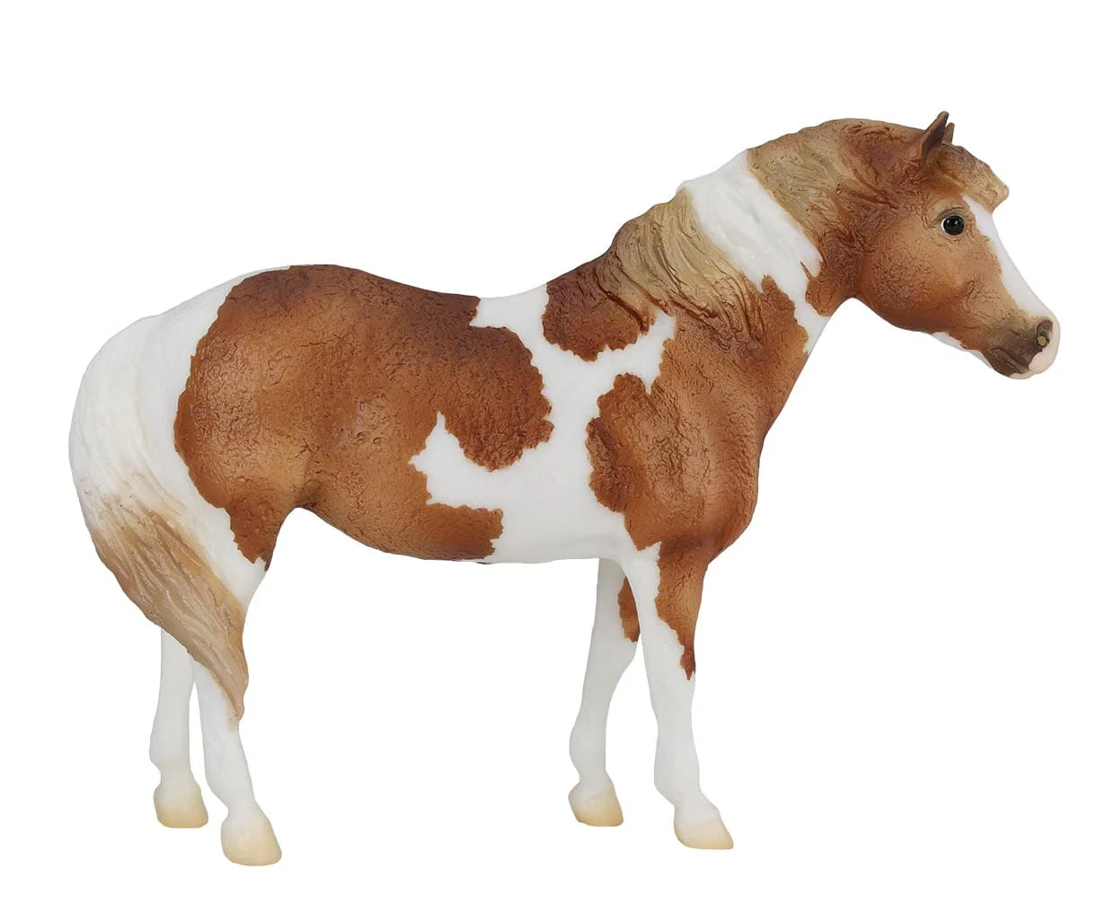 Cuddles | 2025 Pony for Christmas - Image 5