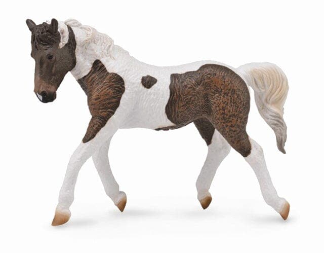 Curly Horse Mare