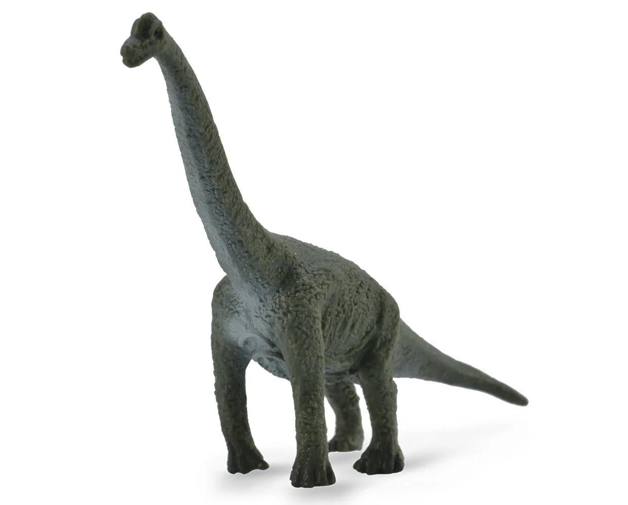 Dinosaur Blind Bag 24 Piece Display | With AR Feature - Image 17