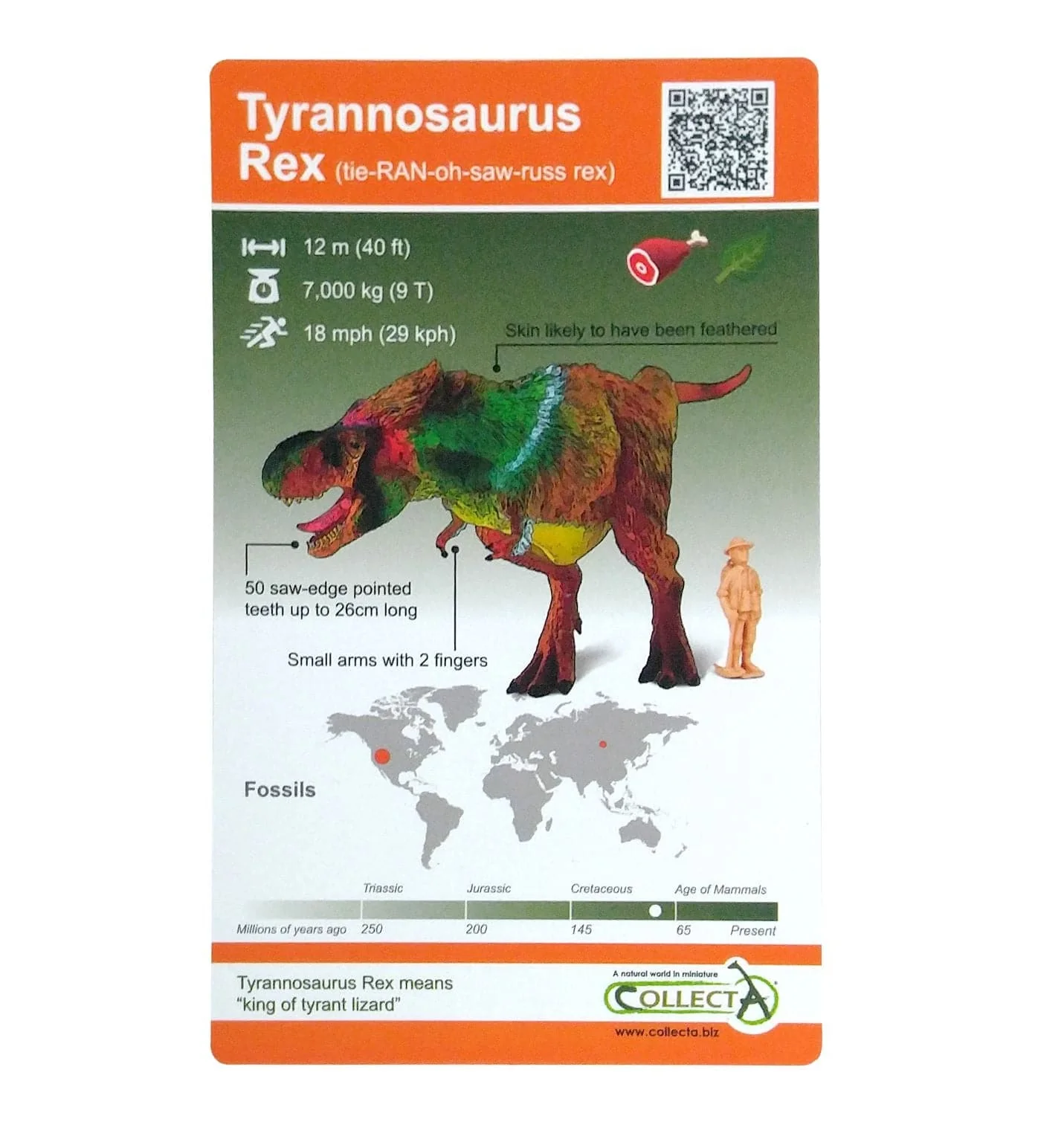 Dinosaur Blind Bag 24 Piece Display | With AR Feature - Image 4
