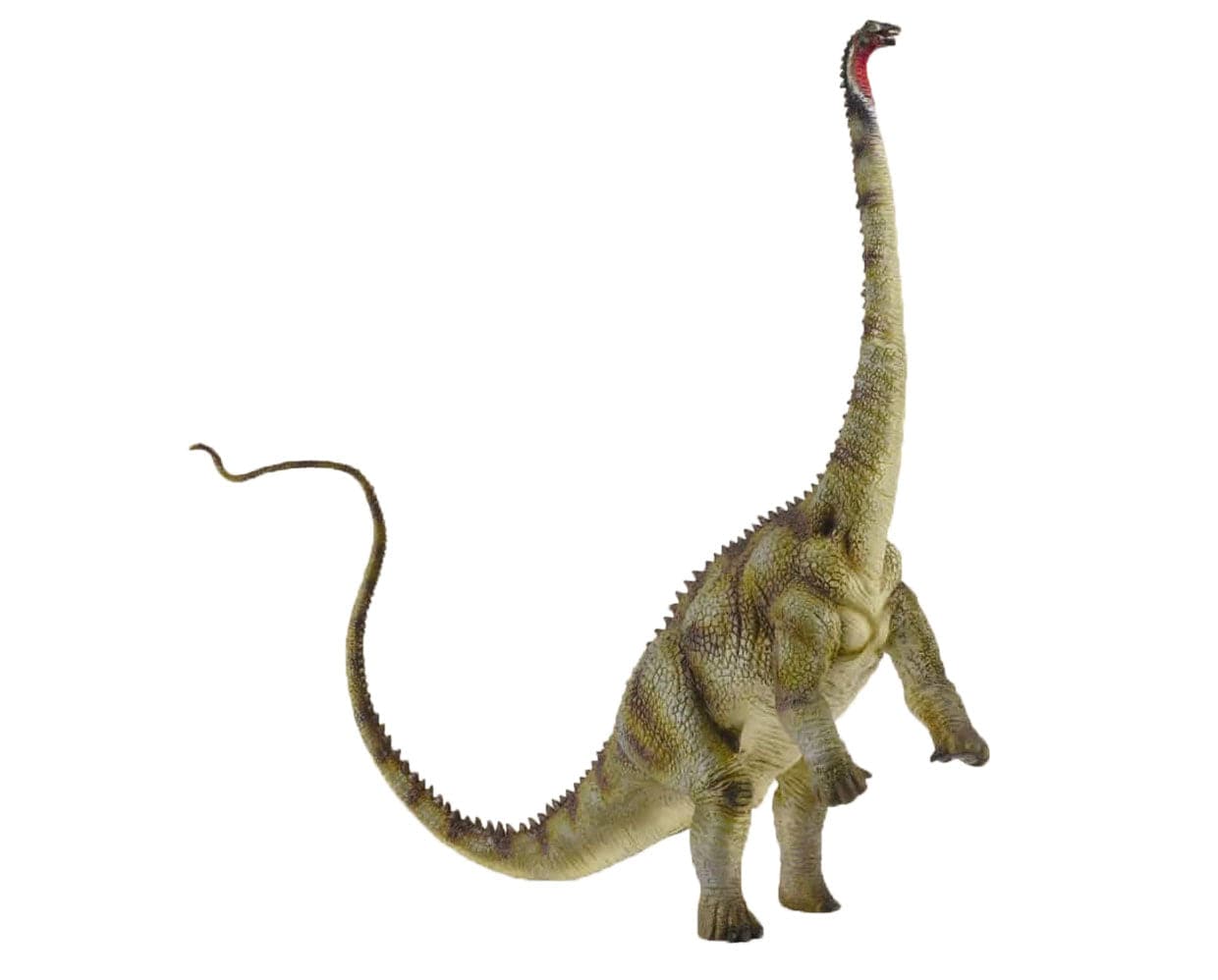 Diplodocus - Image 2