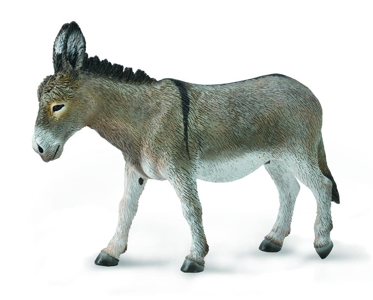 Donkey - Image 2