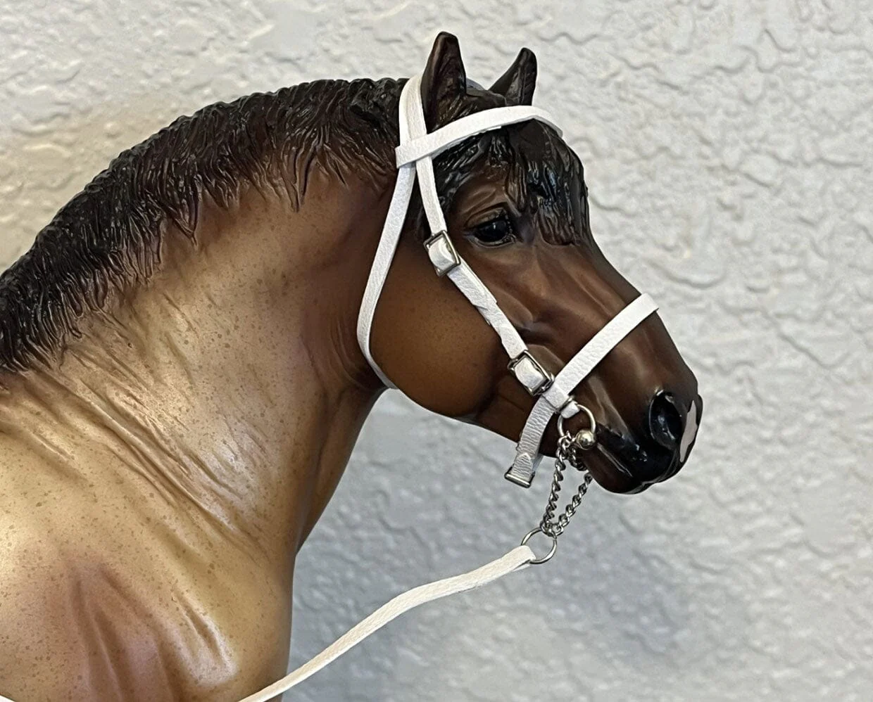 Draft Horse Show Halter Workshop