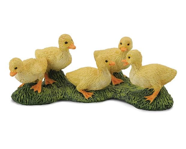 Ducklings