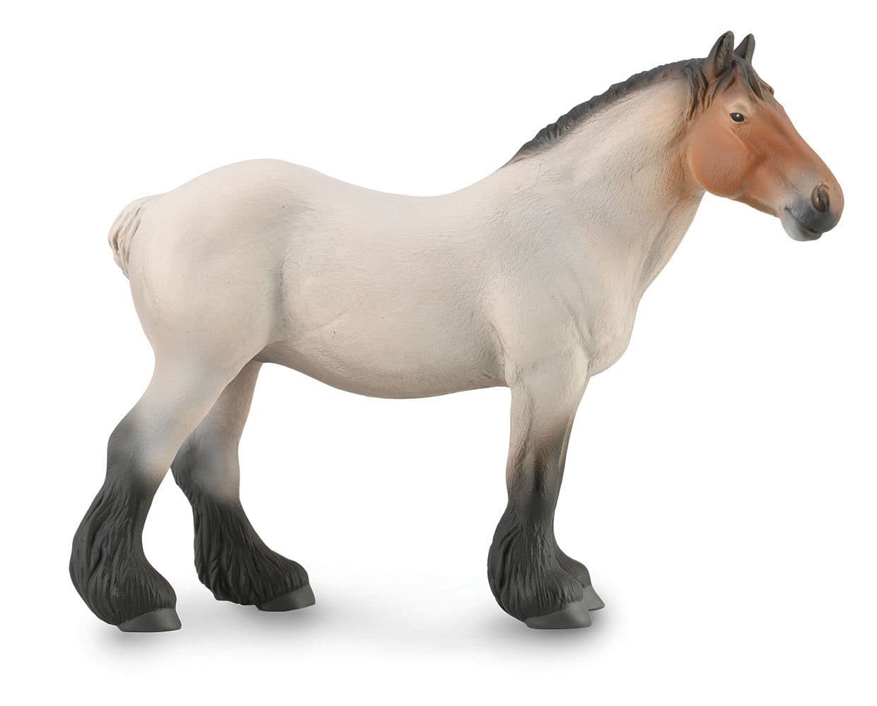 Dutch Draft Mare | Roan - Image 2