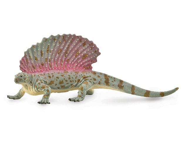 Edaphosaurus - Image 2