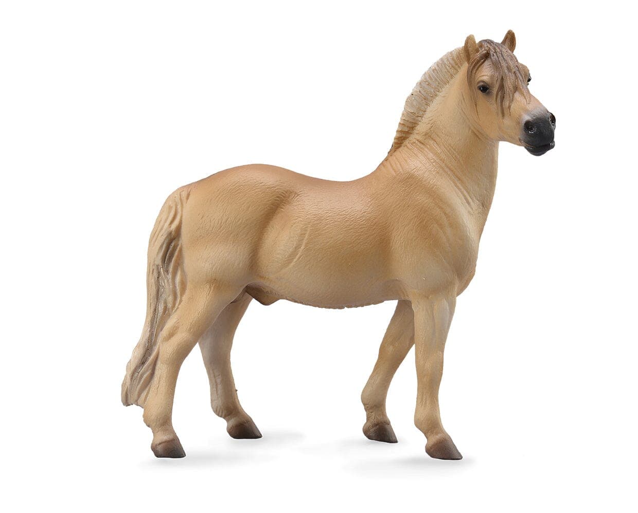 Fjord Stallion | Brown Dun