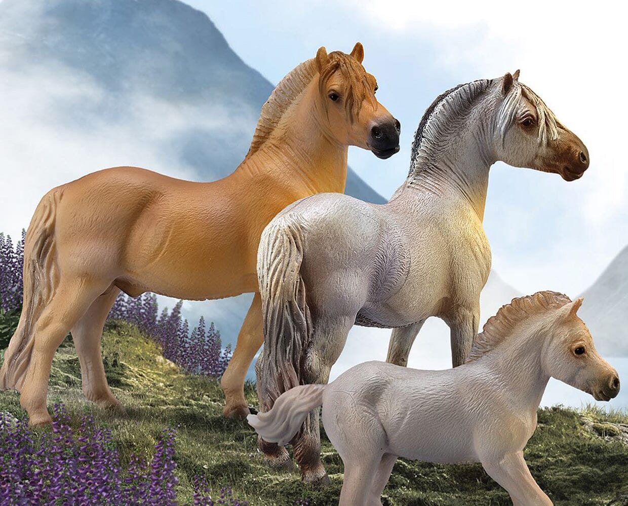 Fjord Stallion | Brown Dun - Image 2