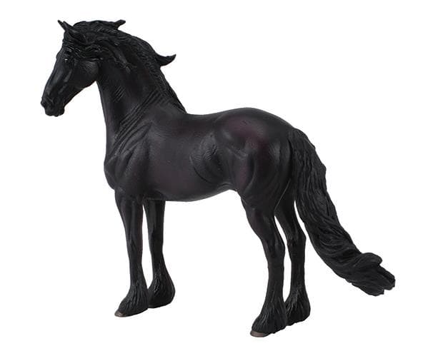 Friesian Stallion - Image 2