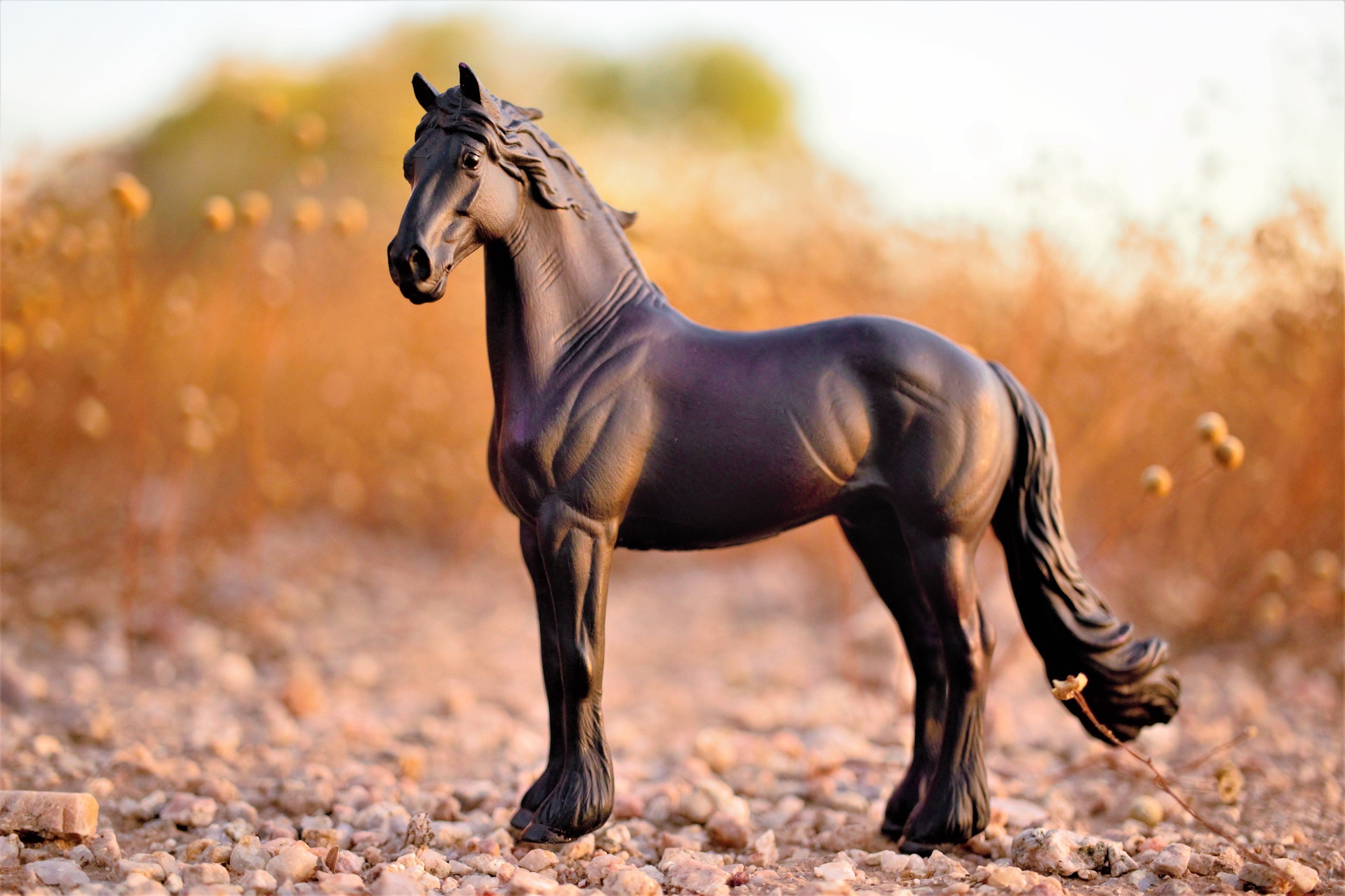 Friesian Stallion - Image 3