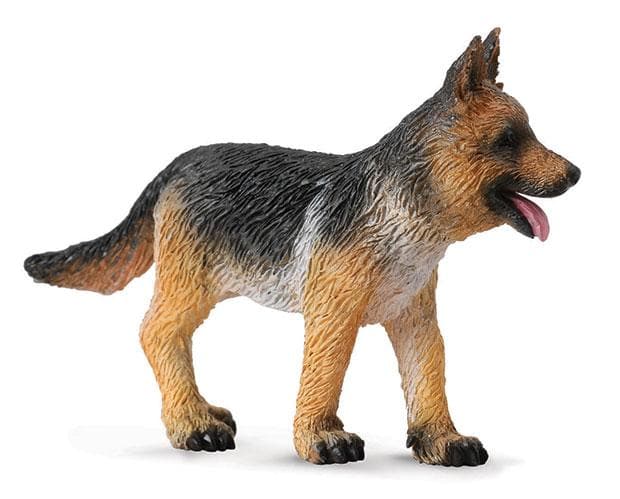 German Shepherd Puppy
