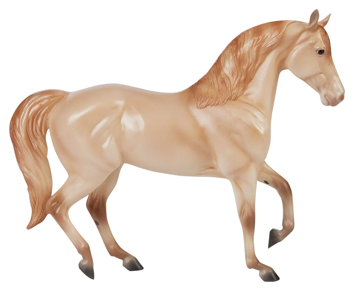 Champagne Quarter Horse Cross