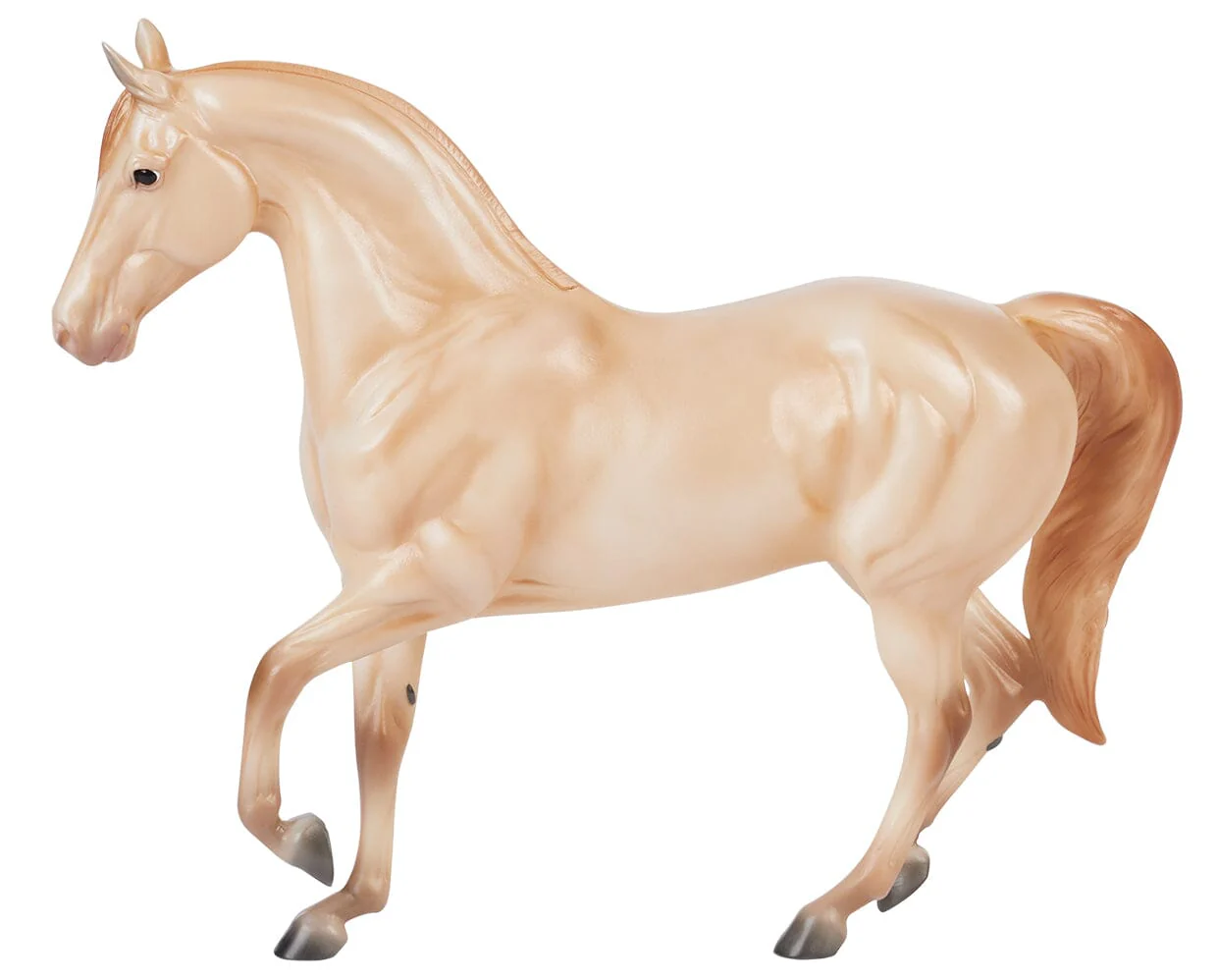 Champagne Quarter Horse Cross - Image 2