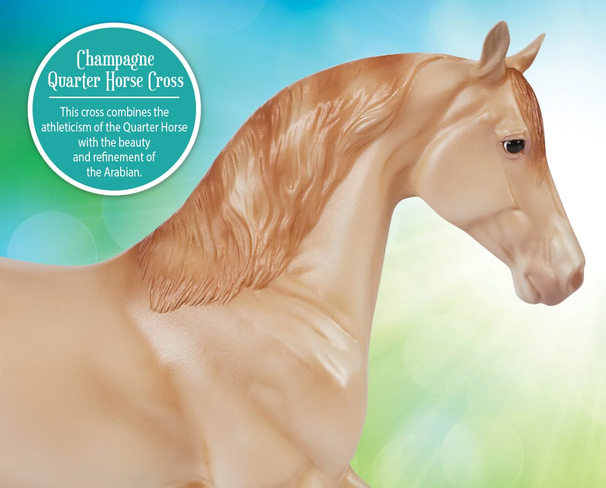 Champagne Quarter Horse Cross - Image 3