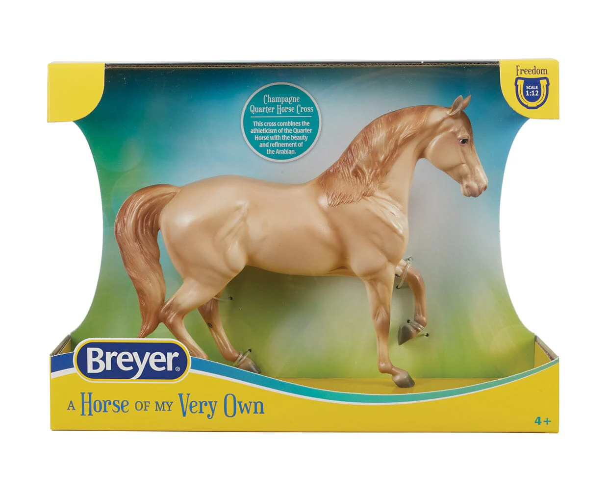Champagne Quarter Horse Cross - Image 4