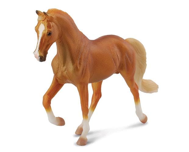 Tennessee Walking Horse Stallion | Golden Palomino