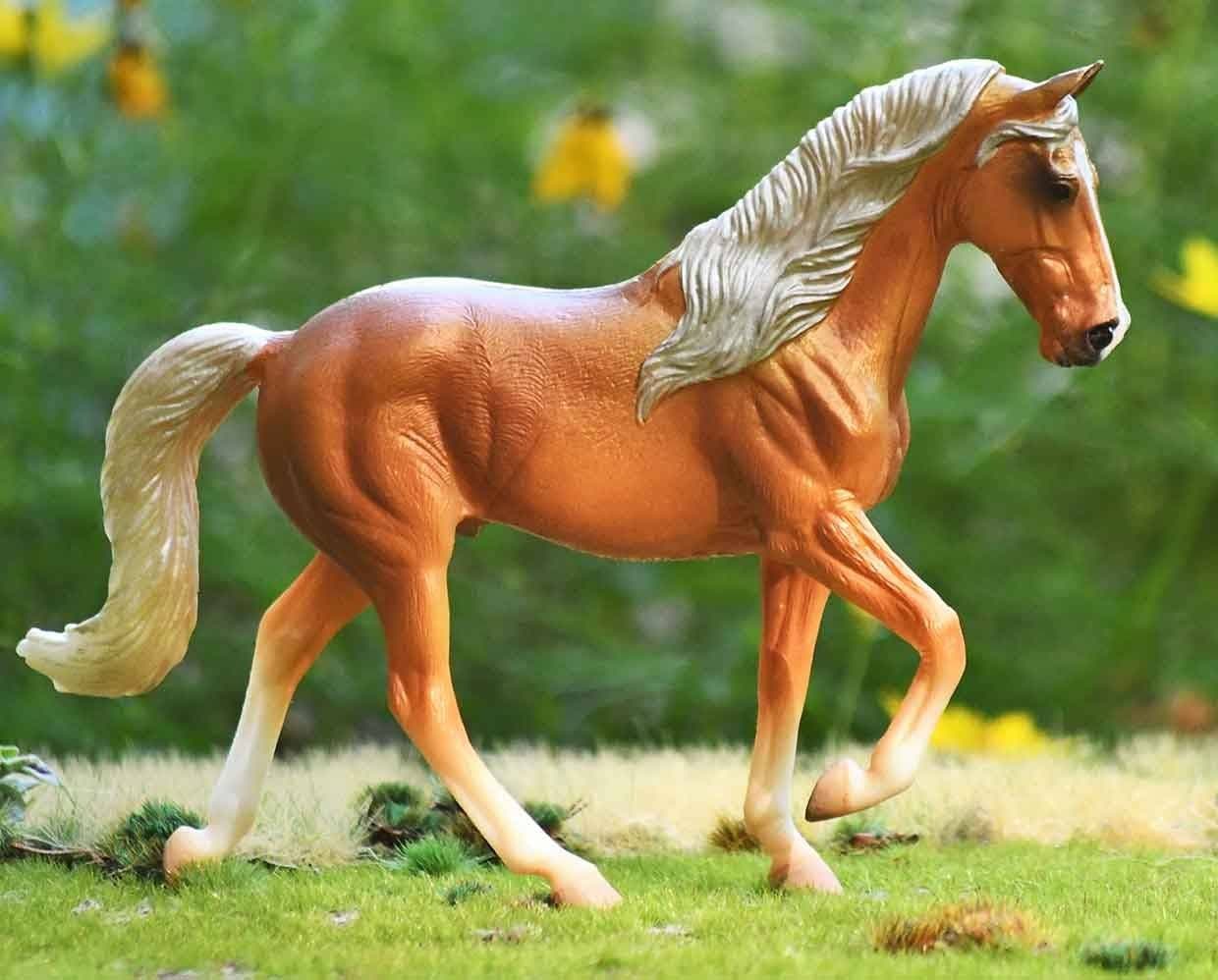 Tennessee Walking Horse Stallion | Golden Palomino - Image 2