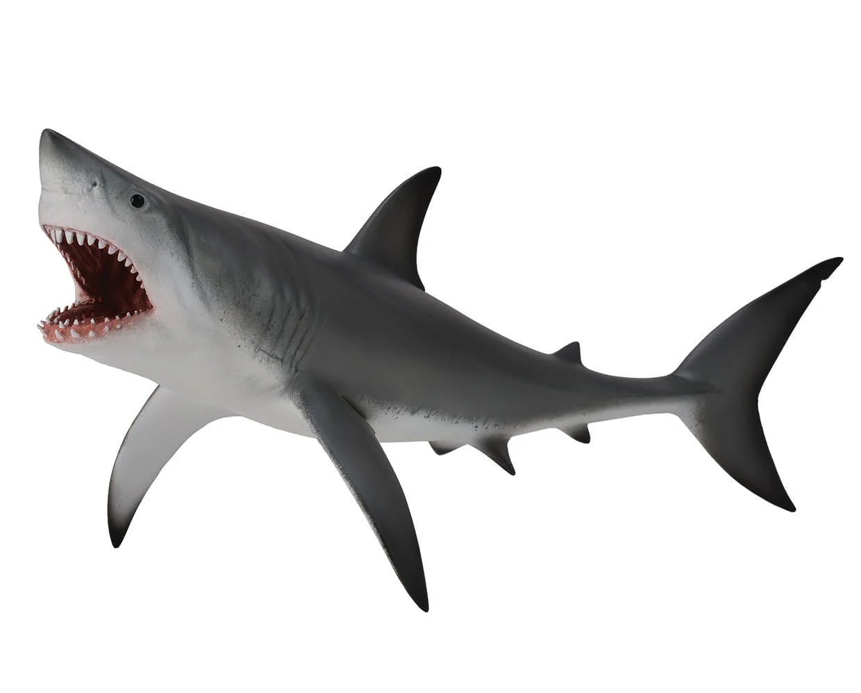 Great White Shark - Image 2