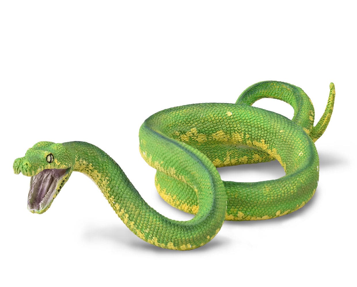 Green Tree Python - Image 2