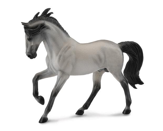 Andalusian Stallion | Grey
