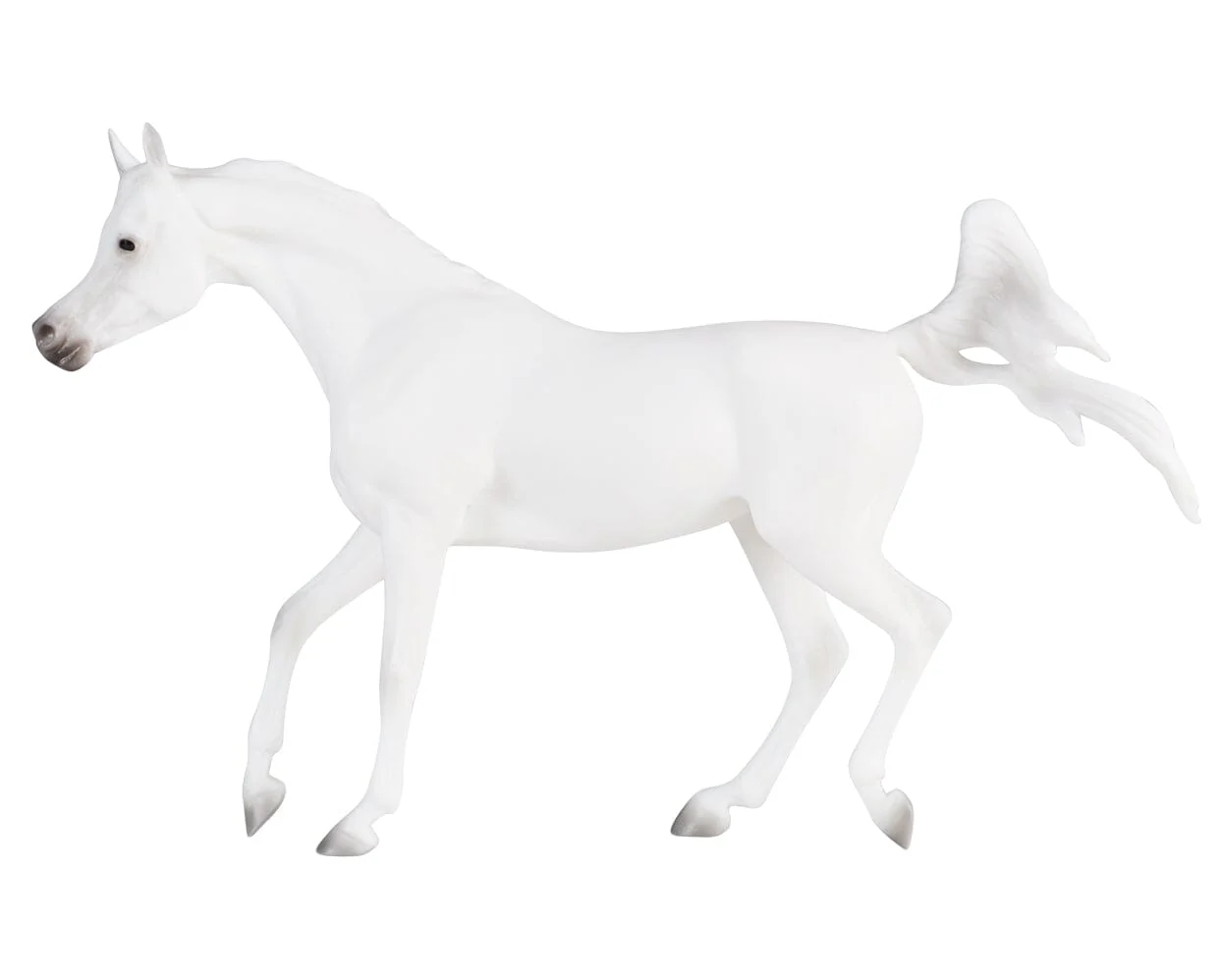 Grey Arabian - Image 2