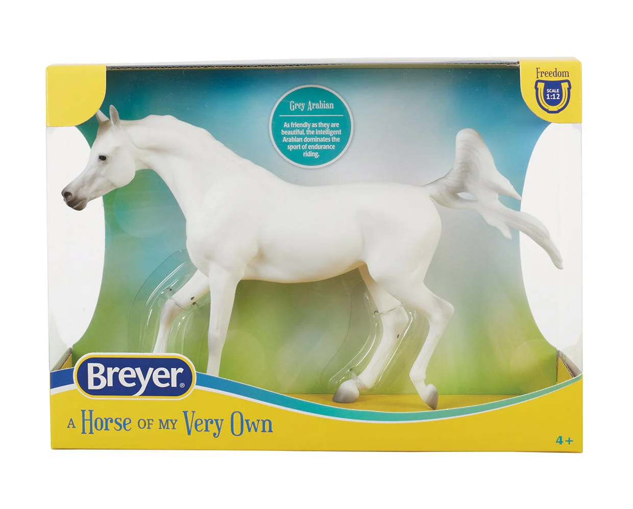 Grey Arabian - Image 4