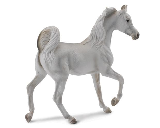 Arabian Mare | Grey