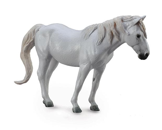 Camargue