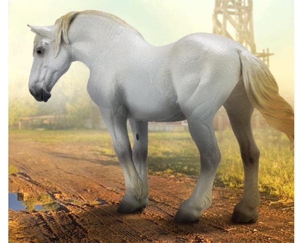 Percheron Mare | Grey